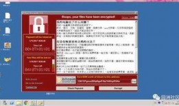 园洲今日爆料新闻,突发事件引发热议，详情揭晓！