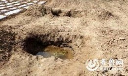 蒙阴县最新爆料信息网,揭秘当地热点事件与民生动态