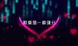 恋情爆料视频素材大全免费,恋情爆料视频素材大全大揭秘