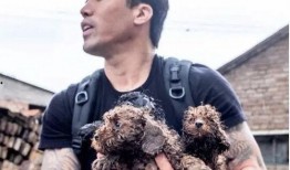 爆料救助狗狗视频播放,网友直播救助狗狗，温情满满引网友泪目